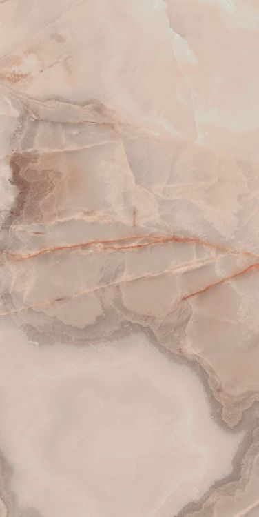 Reves Rose Matte 24 x 48
